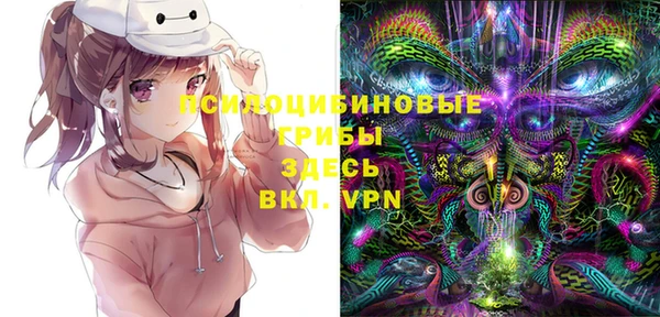 mix Лабытнанги