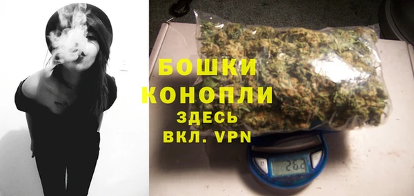 стафф Ладушкин