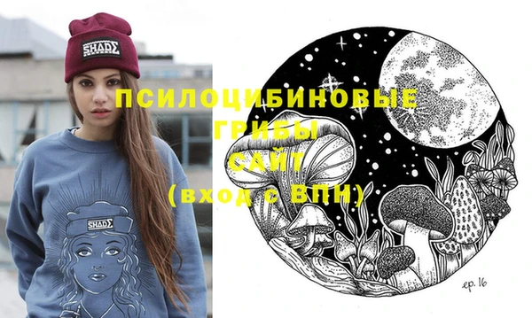 mix Лабытнанги