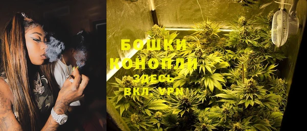 гашик Лагань