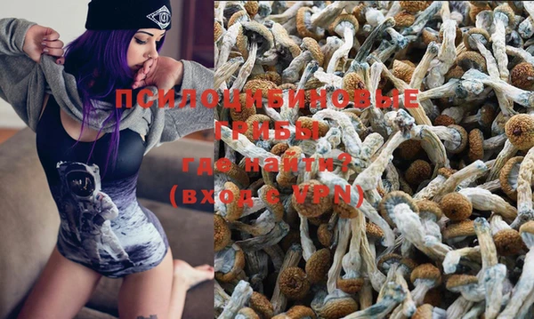 стафф Ладушкин