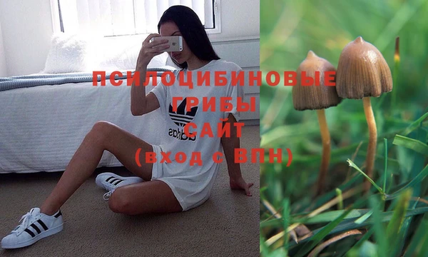 mix Лабытнанги