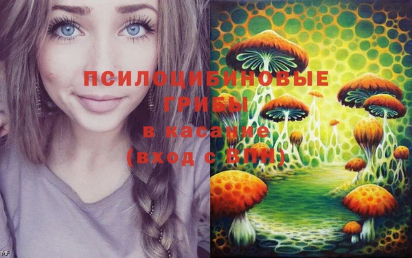 гашик Лагань
