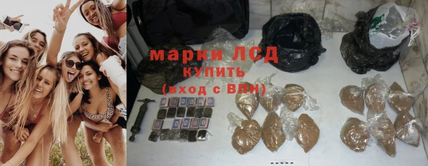 гашик Лагань
