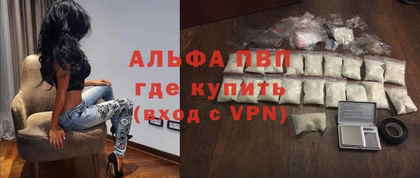 стафф Ладушкин