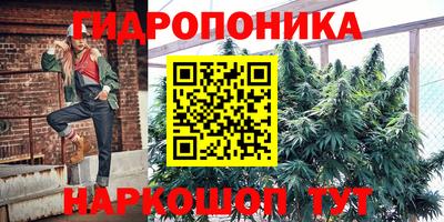 дживик Гусиноозёрск