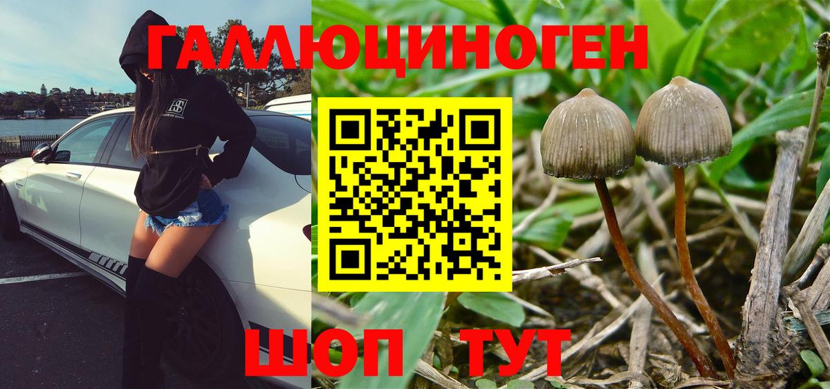 Псилоцибиновые грибы GOLDEN TEACHER  Галлюциногенные грибы Psilocybe  Сыктывкар  Вход с VPN 